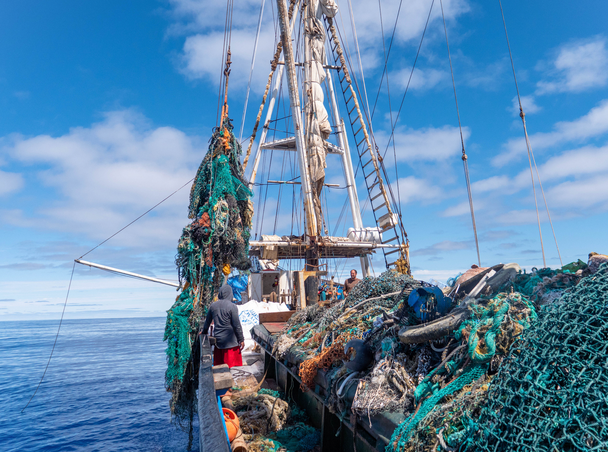 Giving Tuesday: Ocean Voyages Institute