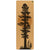 Tranquil Sequoia