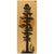 Tranquil Sequoia