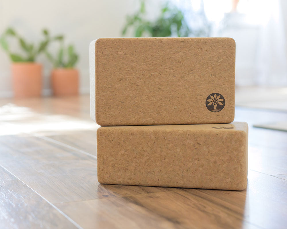 JBM Yoga Blocks 2 Pack Plus Strap Cork Yoga Block Yoga Brick, Natural &  Eco-Friendly Cork Yoga Block to Support and Deepen Poses, Lightweight,  Odor-Resistant and Moisture-Proof (Cork & Blue), Blocks 